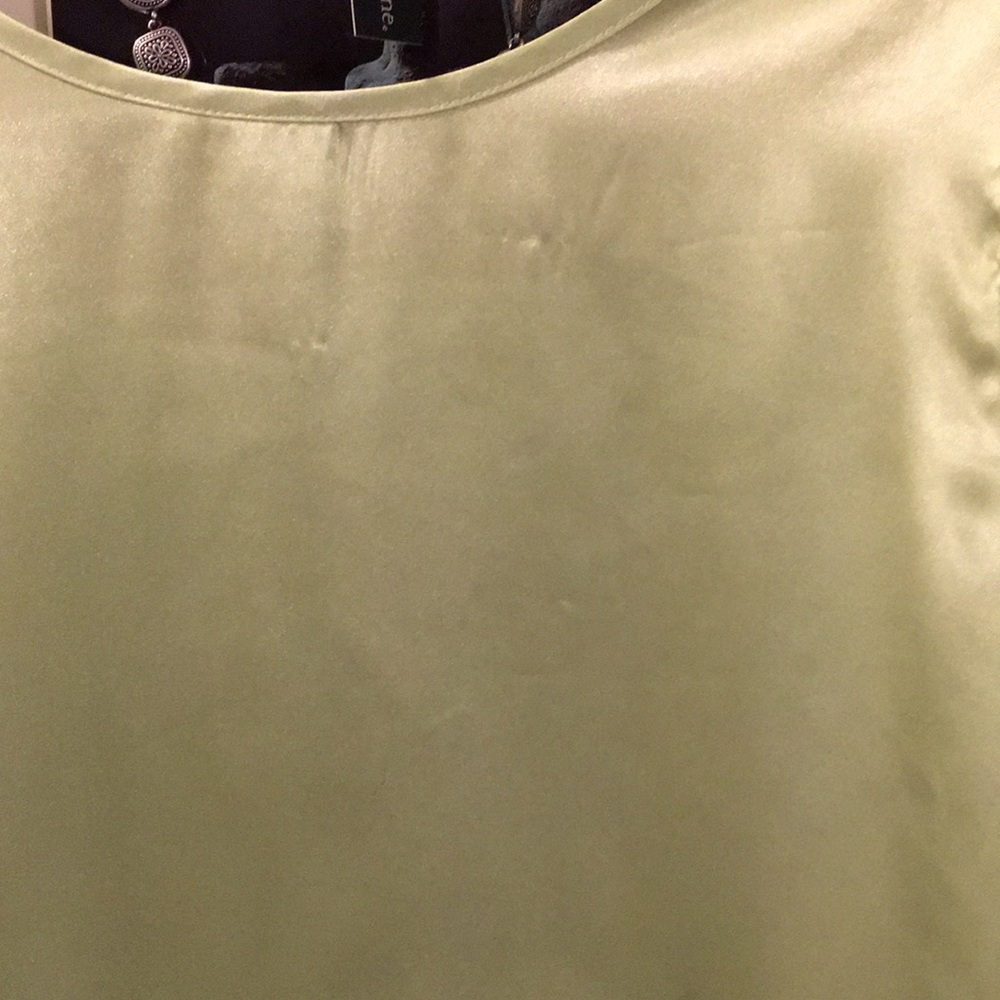 Giorgio Fiorlini Pistachio Green Shiny Tank Top - Picture 8 of 9